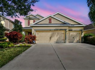 33181 Shadow Branch Ln, Wesley Chapel, FL 33545