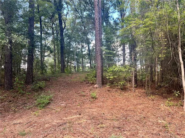 131 Bud Ates Rd, Pollock, LA 71467