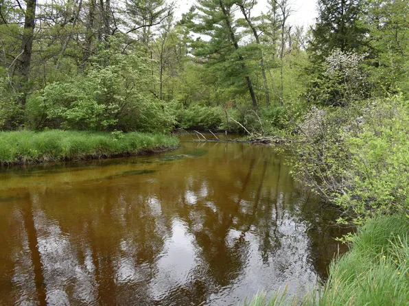 0 S Everblooming Dr, Baldwin, MI 49304