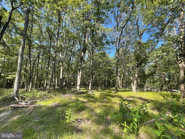 424 Camel Back Ln, Zion Grove, PA 17985