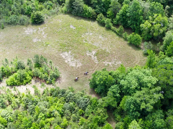 0 County Road 231, Abbeville, AL 36310
