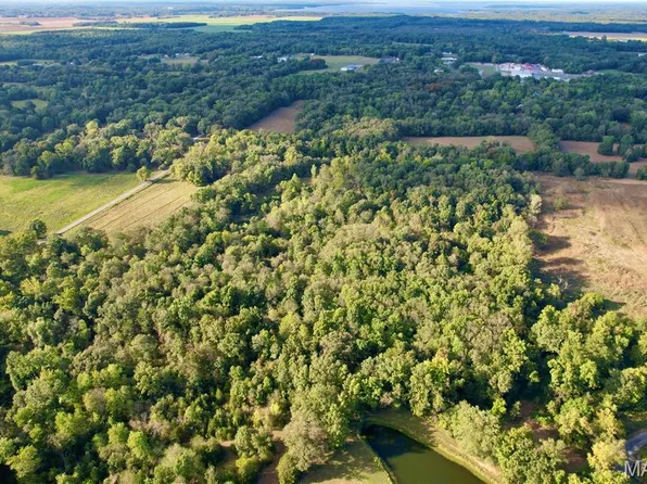 8206 Eakin Grove Rd, Benton, IL 62812