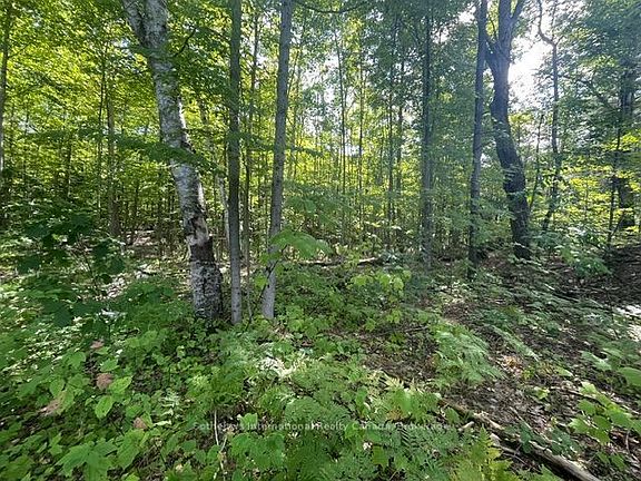 2nd image of 7859 Pineridge Rd