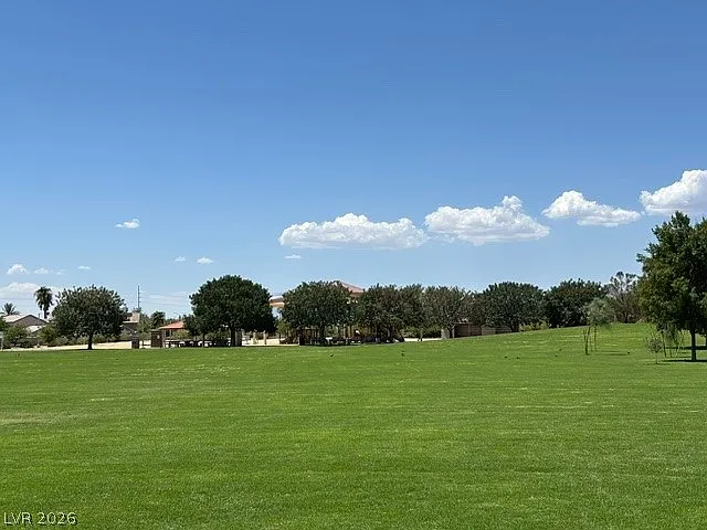3513 Hazelnut Pine Pl #1 — Photo 2