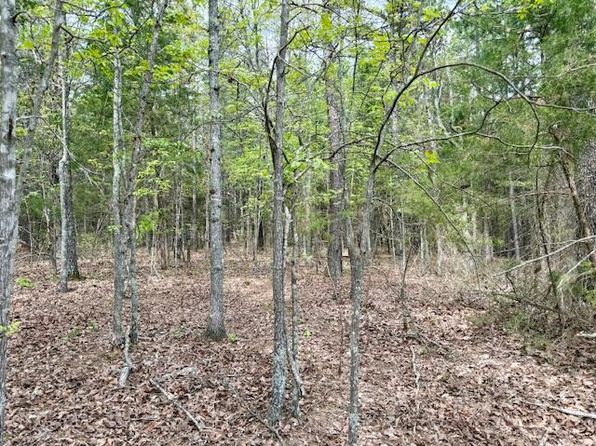 18549 County Road 427, Summersville, MO 65571
