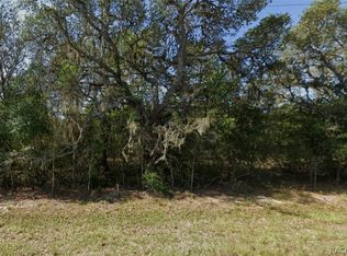 796 E Wacker St, Hernando, FL 34442