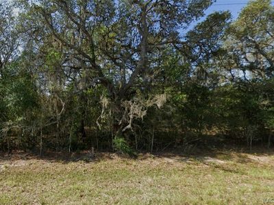 796 E Wacker St, Hernando, FL, 34442