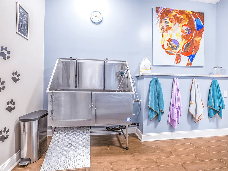 Elan at Mallard Creek Apartment Homes — Photo 48