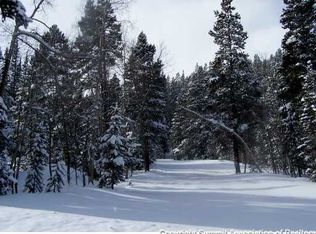 0 Leap Year Trl, Breckenridge, CO 80424