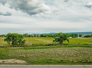 3310 Donnegal Drive, Montrose, CO 81401