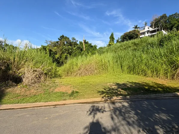 Bo Sonadora Sector, Guaynabo, PR 00971