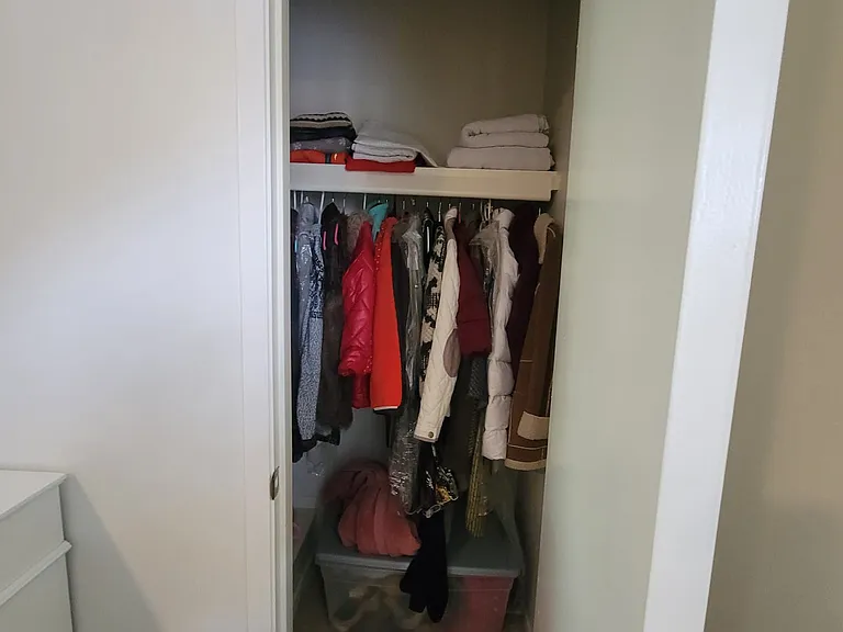 Master bedroom second closet (winter clothe and luggages space)
