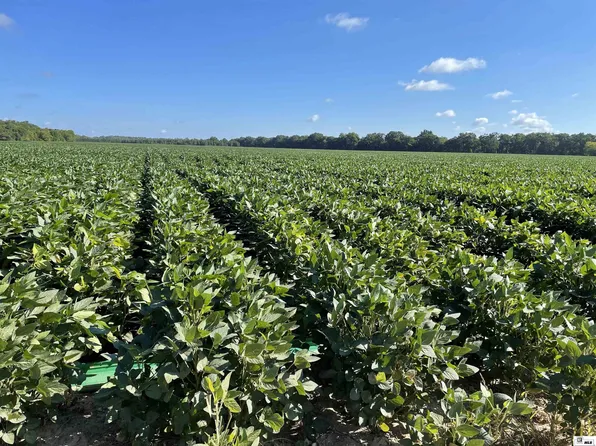 0 County Road 424, Wynne, AR 72396
