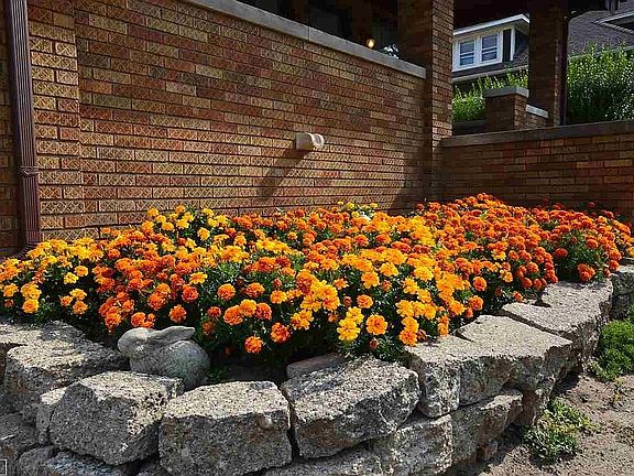 Low maintenance flower bed, vegetable garden, or whatever your imagination craves