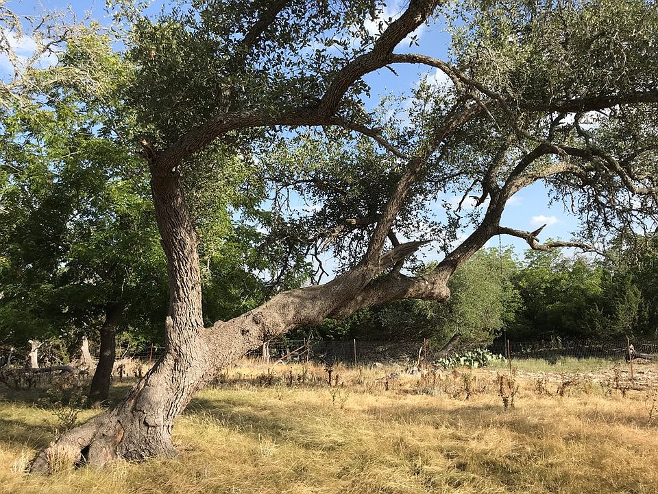 2nd image of 470 Dinosaur Ranch Rd
