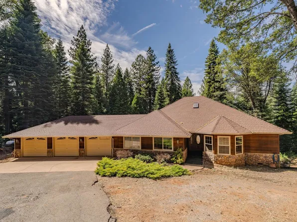28219 Fuentes Dr, Pioneer, CA 95666