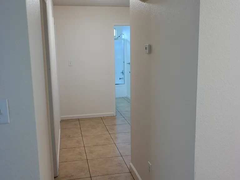 907 Ivy Trae Ln — Photo 9