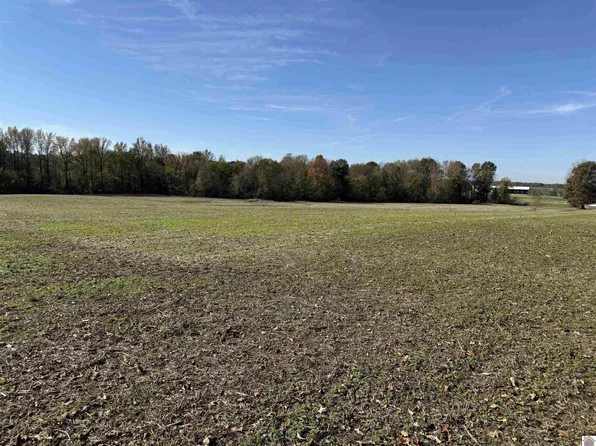 0 Morgan Rd #1372, Bardwell, KY 42023