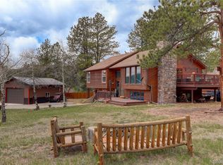 11914 S Stallion Dr, Pine, CO 80470