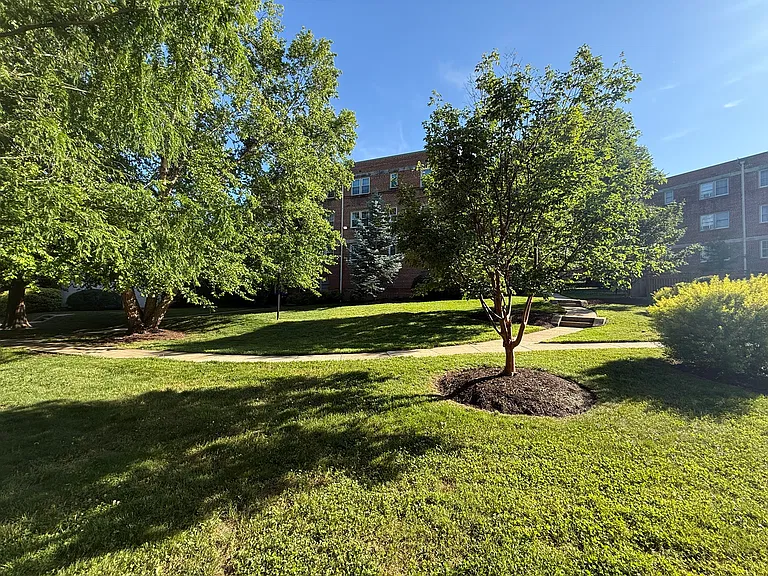 2202 Colston Dr #102 — Photo 26