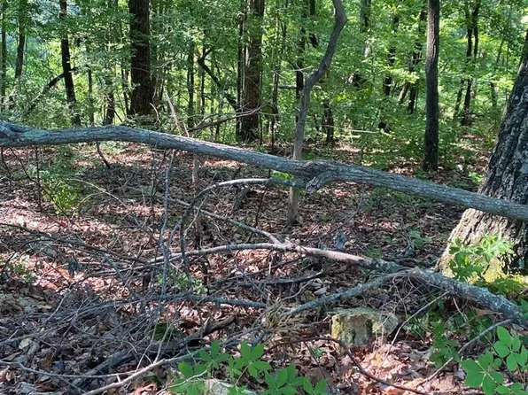 0 Lakeview Dr, Smithville, TN 37166