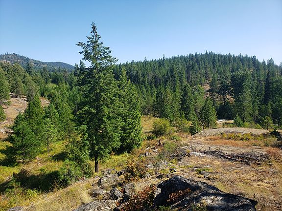 5th image of 8061-2 Highway 211