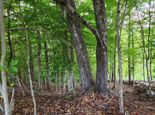 LOT 7 Old Point Rd, Moneta, VA 24121