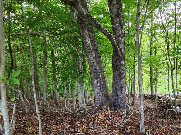 LOT 7 Old Point Rd, Moneta, VA 24121