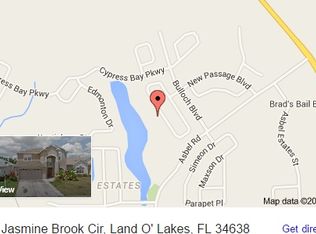 9829 Jasmine Brook Cir, Land O Lakes, FL 34638