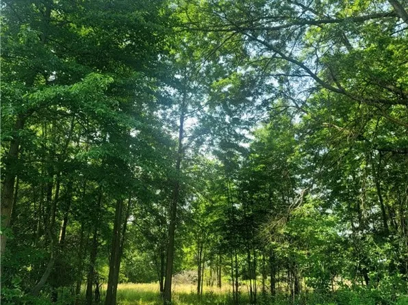 Merwin Chase, Brookfield, OH 44403