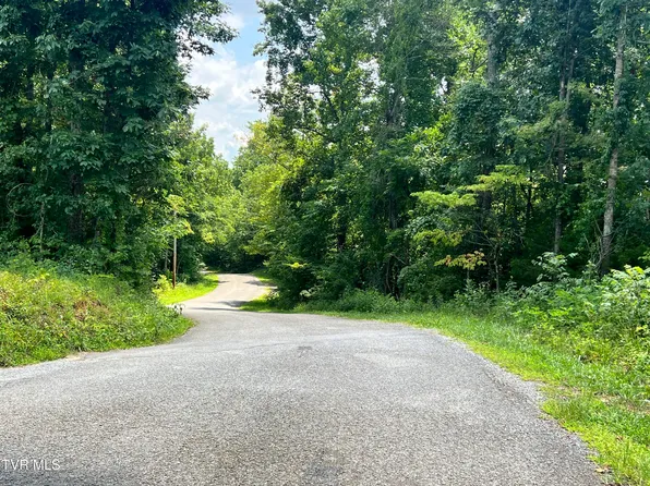 2470 Allen Chapel Rd, Parrottsville, TN 37843