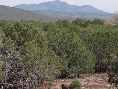 2445 W Rattlesnake Rd, Ash Fork, AZ, 86320