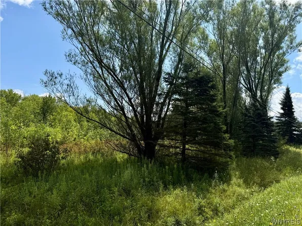 9259 Carpenter Rd, Eden, NY 14057