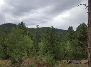 265 Blue Spruce Dr, Pine, CO 80470