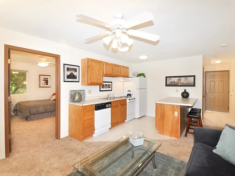 1005 W Stoughton St #312 — Photo 7