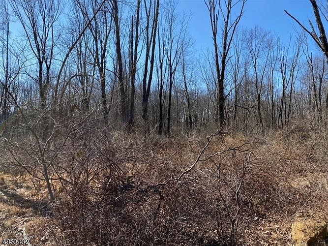 2nd image of 107 Mount Lebanon Rd