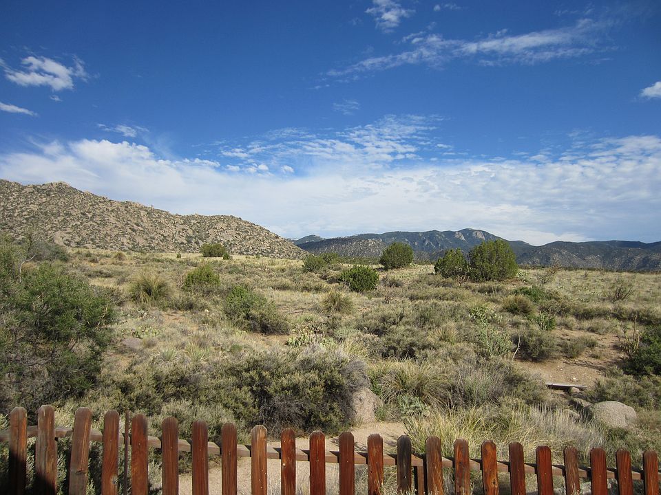 View from back deck