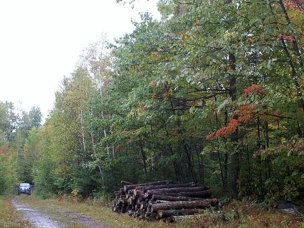 1st image of Off Mail Route Rd