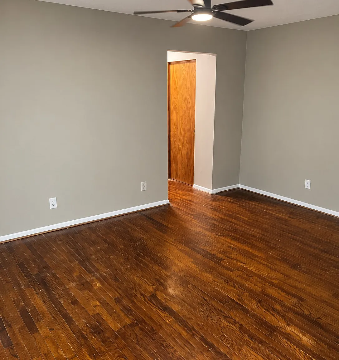 1 bed, $925 — Photo 3