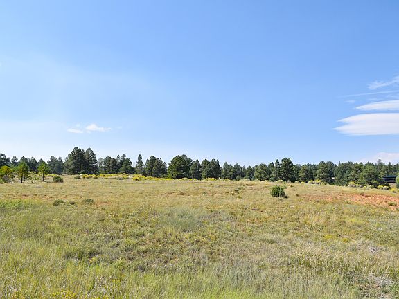 3rd image of Ponderosa Dr Lot 107