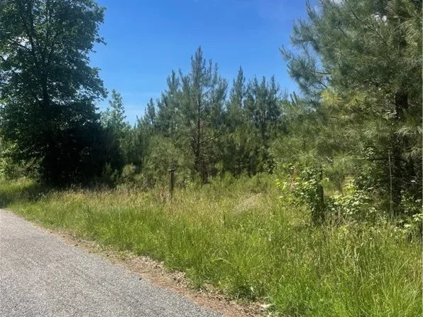 Old Elam Cemetary Rd, Charles City, VA 23030