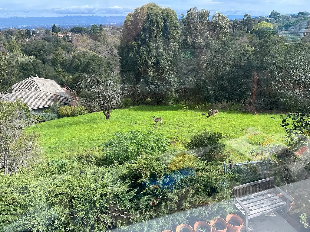6 bed, 3164 sqft, $9,800 — Photo 1
