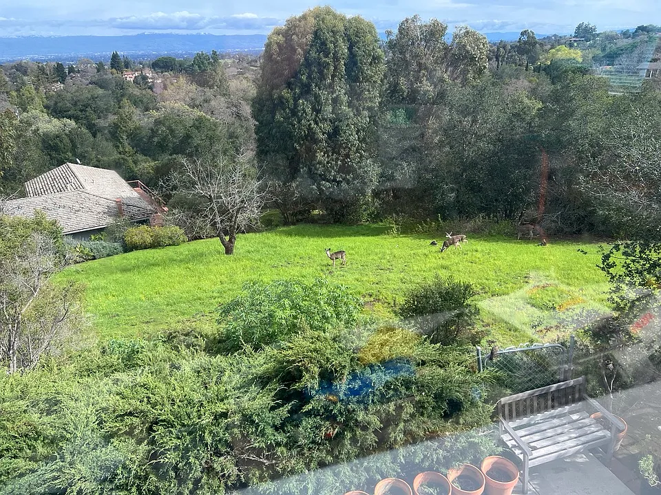 27478 Black Mountain Rd