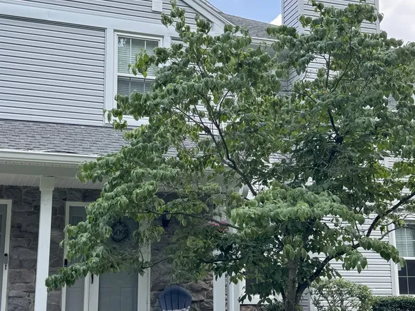 509 Mews Dr, Sellersville, PA 18960