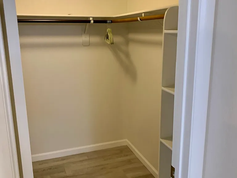 Master walk in closet with build in shelves