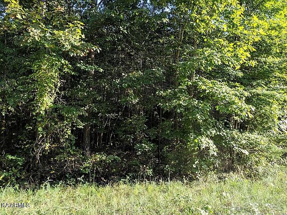 4th image of Hilltop Ln