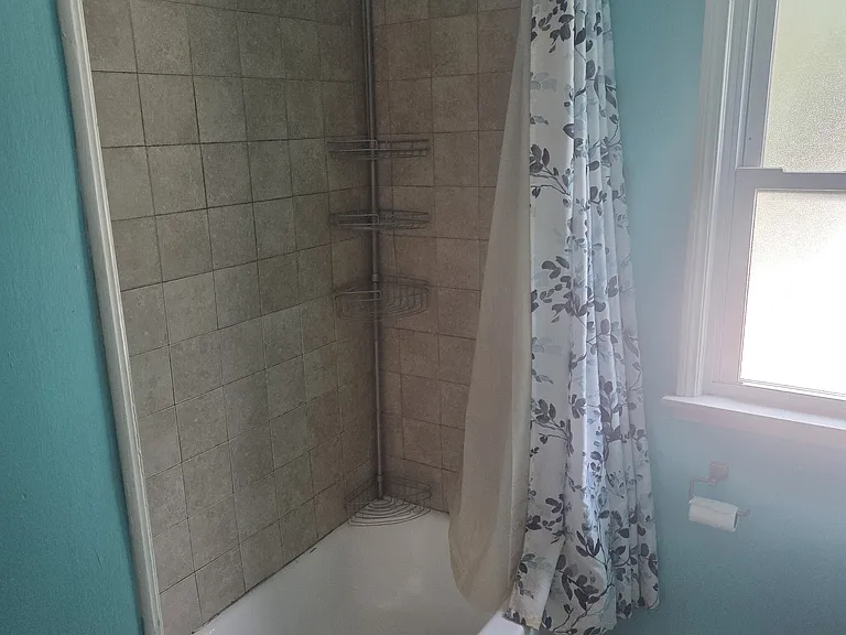 11412 Woodview Blvd — Photo 8
