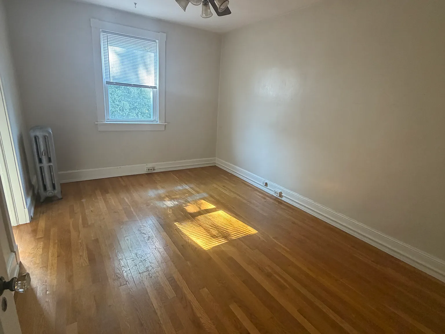 1 bed, 520 sqft, $1,250 — Photo 4