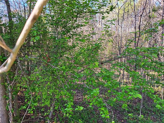 5th image of 0 Pine Forest Dr