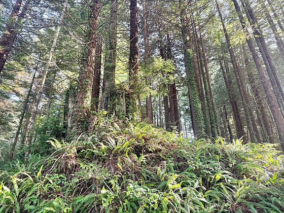 4th image of 0 Spears Rd